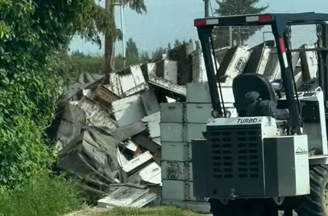 Ciężarówka przewożąca 14 milionów pszczół przewraca się w stanie Waszyngton, zamykając drogę na 24 godziny.